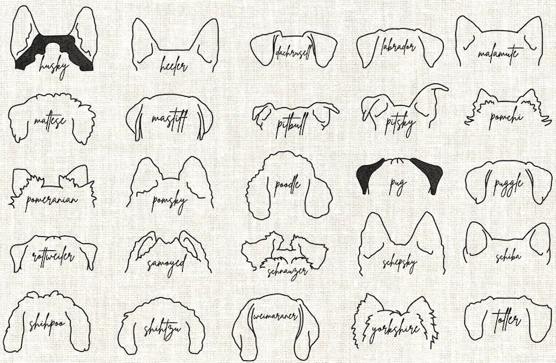 Dog Ears 🐾