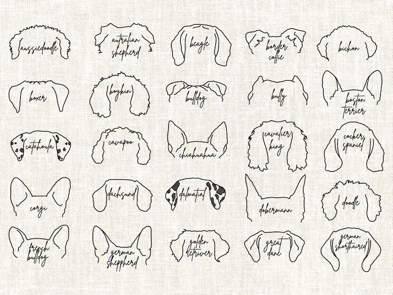Dog Ears 🐾