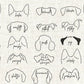 Dog Ears 🐾